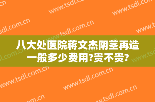 八大处医院蒋文杰阴茎再造一般多少费用?贵不贵?