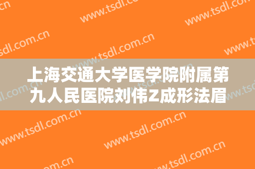 上海交通大学医学院附属第九人民医院刘伟Z成形法眉毛整形什么价格?怎么样?
