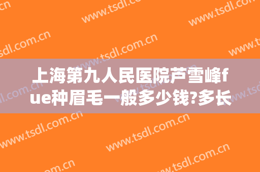 上海第九人民医院芦雪峰fue种眉毛一般多少钱?多长时间恢复?(上海第九人民医院做眉毛吗)