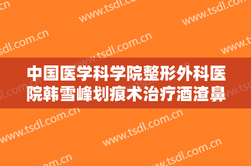 中国医学科学院整形外科医院韩雪峰划痕术治疗酒渣鼻一般多少钱?可靠吗?