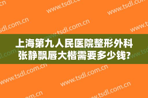 上海第九人民医院整形外科张静飘唇大楷需要多少钱?贵不贵?