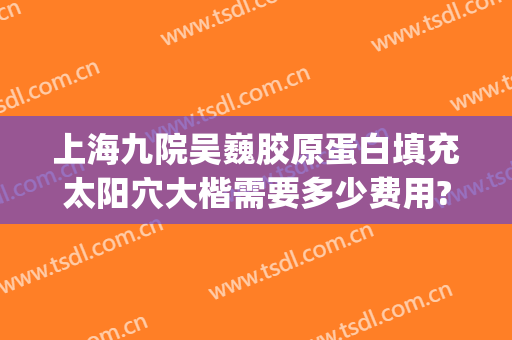 上海九院吴巍胶原蛋白填充太阳穴大楷需要多少费用?效果怎么样?(上海九院填充太阳凹大概多少钱)
