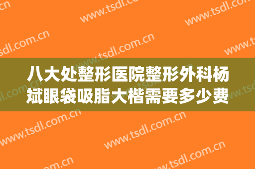 八大处整形医院整形外科杨斌眼袋吸脂大楷需要多少费用?怎么样?(北京八大处整形吸脂多少钱)