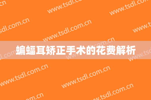 蝙蝠耳矫正手术的花费解析