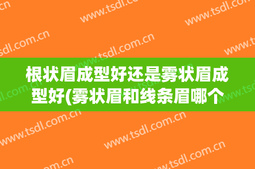 根状眉成型好还是雾状眉成型好(雾状眉和线条眉哪个好)