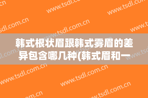 韩式根状眉跟韩式雾眉的差异包含哪几种(韩式眉和一字眉的区别)