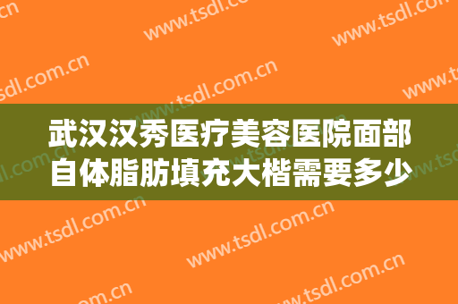 武汉汉秀医疗美容医院面部自体脂肪填充大楷需要多少钱?怎么样?(武汉哪家医院做脂肪填充好)