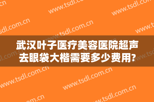 武汉叶子医疗美容医院超声去眼袋大楷需要多少费用?好不好?