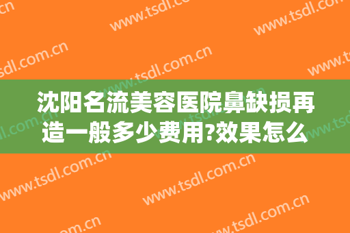 沈阳名流美容医院鼻缺损再造一般多少费用?效果怎么样?(沈阳哪家整形医院做鼻子最好)