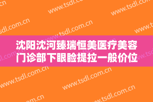 沈阳沈河臻瑞恒美医疗美容门诊部下眼睑提拉一般价位是多少?效果怎么样?