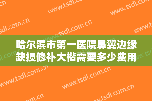 哈尔滨市第一医院鼻翼边缘缺损修补大楷需要多少费用?好不好?