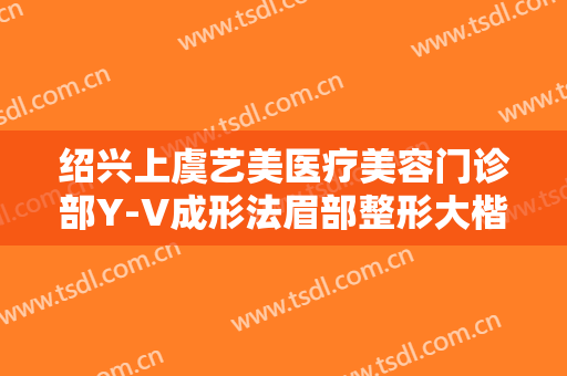 绍兴上虞艺美医疗美容门诊部Y-V成形法眉部整形大楷需要多少钱?好不好?