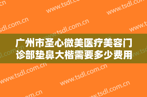 广州市圣心微美医疗美容门诊部垫鼻大楷需要多少费用?贵不贵?