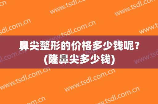 鼻尖整形的价格多少钱呢？(隆鼻尖多少钱)