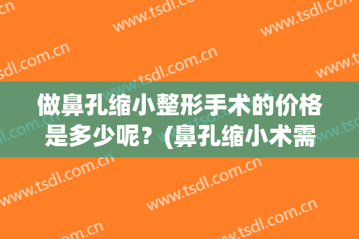 做鼻孔缩小整形手术的价格是多少呢？(鼻孔缩小术需要多少钱)