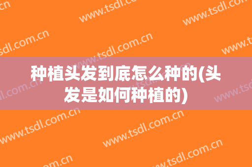 种植头发到底怎么种的(头发是如何种植的)