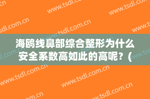 海鸥线鼻部综合整形为什么安全系数高如此的高呢？(海鸥线弹性美鼻)