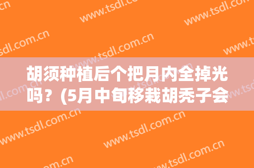 胡须种植后个把月内全掉光吗？(5月中旬移栽胡秃子会活吗)