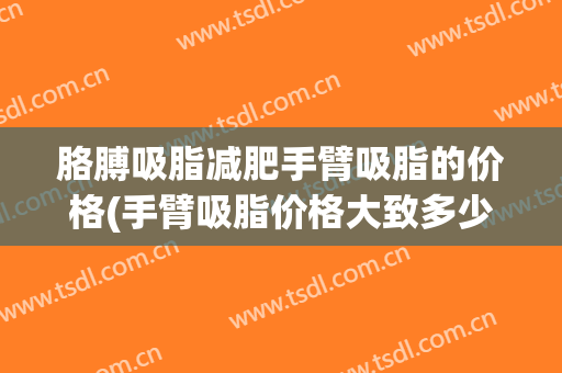胳膊吸脂减肥手臂吸脂的价格(手臂吸脂价格大致多少)