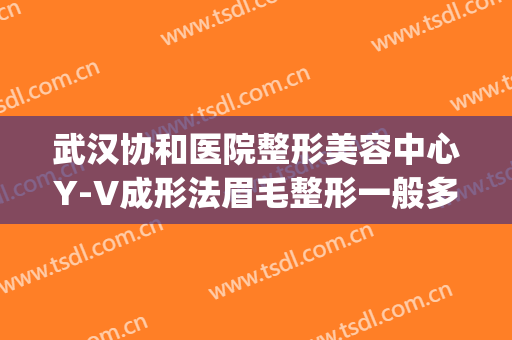 武汉协和医院整形美容中心Y-V成形法眉毛整形一般多少钱?怎么样?(上海v美整形好不好)