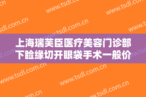 上海瑞芙臣医疗美容门诊部下睑缘切开眼袋手术一般价位是多少?效果怎么样?