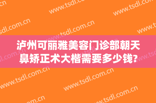 泸州可丽雅美容门诊部朝天鼻矫正术大楷需要多少钱?多长时间恢复?(泸州整容医院)