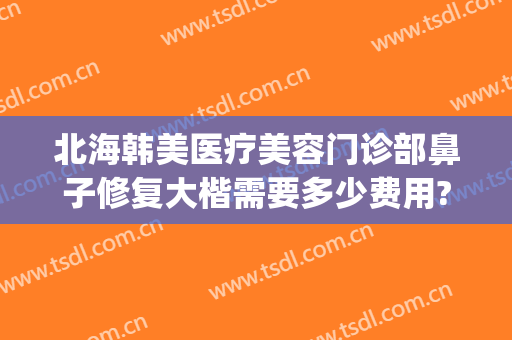 北海韩美医疗美容门诊部鼻子修复大楷需要多少费用?效果怎么样?(北海韩美整形医院官网)