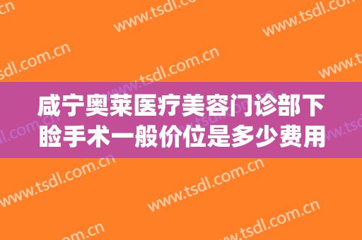 咸宁奥莱医疗美容门诊部下睑手术一般价位是多少费用?贵不贵?(咸宁奥莱整形医院在哪里)