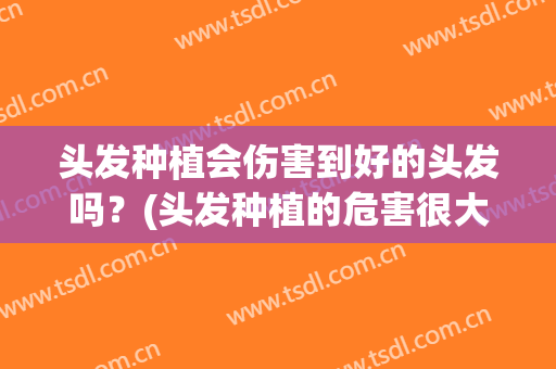 头发种植会伤害到好的头发吗？(头发种植的危害很大吗)