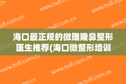 海口最正规的微雕隆鼻整形医生推荐(海口微整形培训中心)