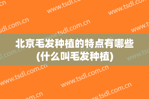 北京毛发种植的特点有哪些(什么叫毛发种植)