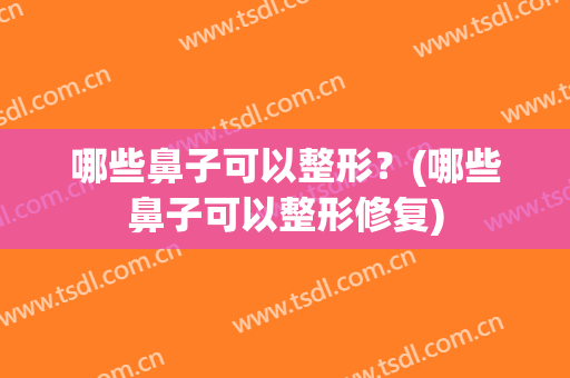 哪些鼻子可以整形？(哪些鼻子可以整形修复)