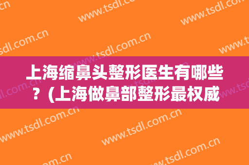 上海缩鼻头整形医生有哪些？(上海做鼻部整形最权威的医生)