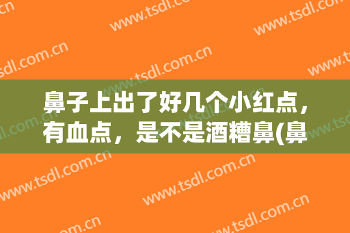 鼻子上出了好几个小红点，有血点，是不是酒糟鼻(鼻子上出了好几个小红点,有血点,是不是酒糟鼻症)