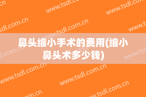 鼻头缩小手术的费用(缩小鼻头术多少钱)