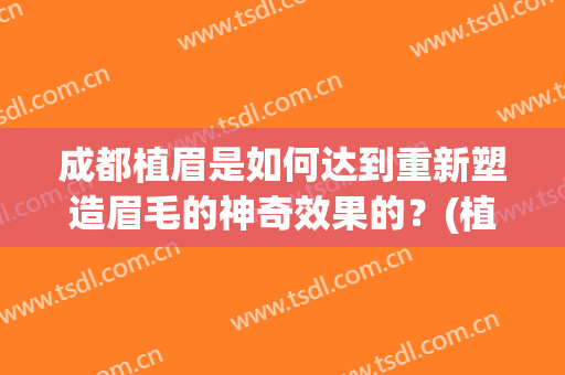成都植眉是如何达到重新塑造眉毛的神奇效果的？(植眉的过程)