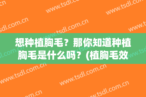 想种植胸毛？那你知道种植胸毛是什么吗？(植胸毛效果)