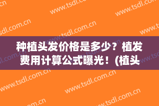 种植头发价格是多少？植发费用计算公式曝光！(植头发的费用一般是多少)