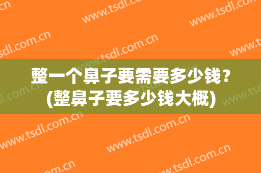 整一个鼻子要需要多少钱？(整鼻子要多少钱大概)