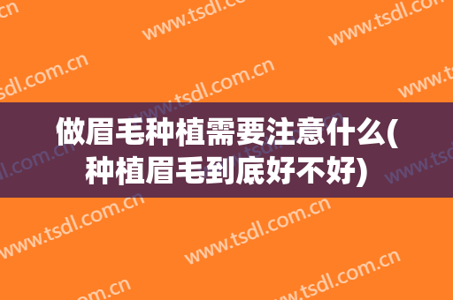 做眉毛种植需要注意什么(种植眉毛到底好不好)