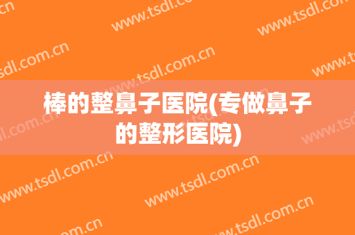 棒的整鼻子医院(专做鼻子的整形医院)