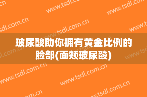玻尿酸助你拥有黄金比例的脸部(面颊玻尿酸)