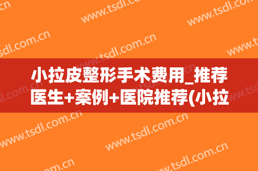 小拉皮整形手术费用_推荐医生+案例+医院推荐(小拉皮手术怎么样)