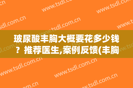 玻尿酸丰胸大概要花多少钱？推荐医生,案例反馈(丰胸打玻尿酸多少钱)