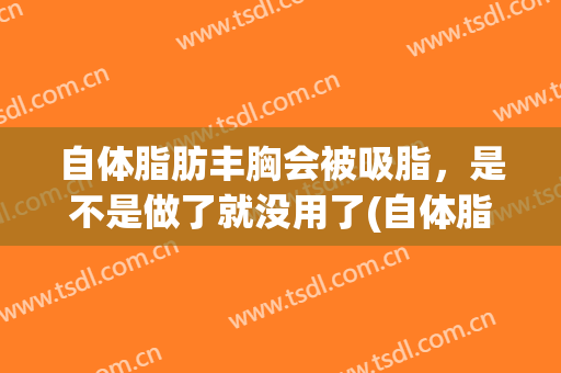 自体脂肪丰胸会被吸脂，是不是做了就没用了(自体脂肪丰胸会一点效果都没有吗)