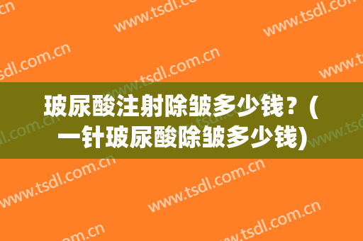 玻尿酸注射除皱多少钱？(一针玻尿酸除皱多少钱)