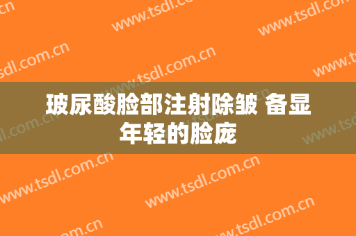 玻尿酸脸部注射除皱 备显年轻的脸庞