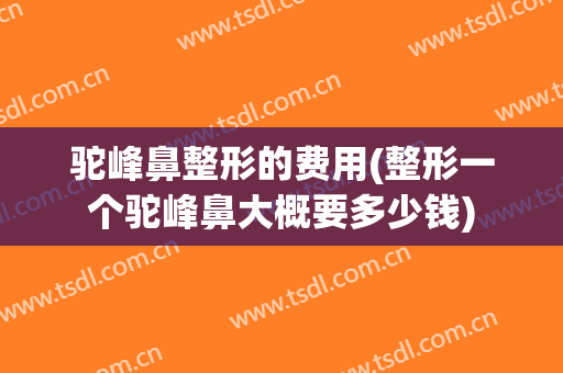 驼峰鼻整形的费用(整形一个驼峰鼻大概要多少钱)
