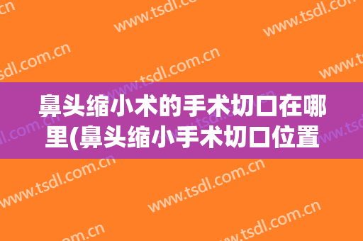 鼻头缩小术的手术切口在哪里(鼻头缩小手术切口位置)
