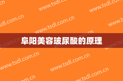 阜阳美容玻尿酸的原理